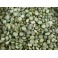 Pois Cassés 1Kg