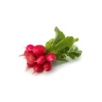 Radis Rouge colis de 2 bottes