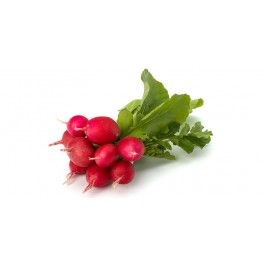 1 botte x Radis Rouge