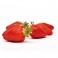 fraises 1kg - madisfrais.com