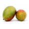 Mangue- fruits exotiques-madisfrais.com