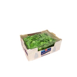 &Eacute;pinard / 1Kg