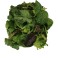 Barquette de mesclun 200g