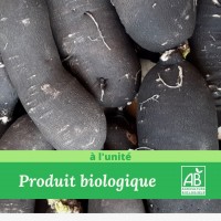 1x Radis Noir Bio