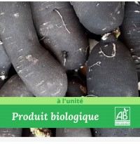 1x Radis Noir Bio