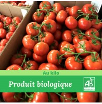 Tomate Grappe Bio / 1Kg