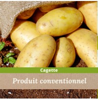 12.5kg de pommes de terre / carton