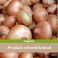 Oignons colis de 10Kg-madisfrais