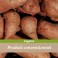 Patate Douce colis de 6Kg