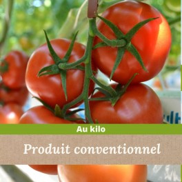 Tomate grappe x 1kg