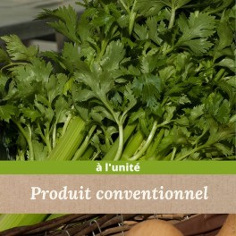 Céleri branche x 1kg