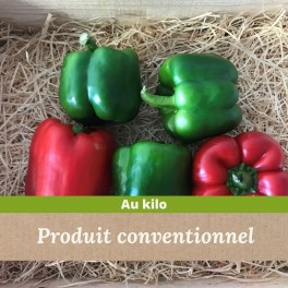 Soimoi tissu tomate Poivron & concombre légume Imprimé Tissu BTM-VG-9J 