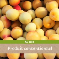 Prune jaune TC SUN x 1kg
