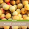 Prune Golden 1kg