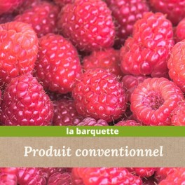 Framboise x 125g