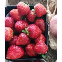 Barquette de fraise Cl&eacute;ry / 500g