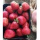 Barquette de fraise Cléry / 500g