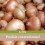 Oignons colis de 2Kg