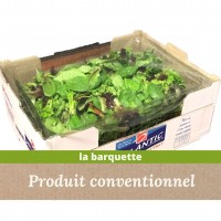 M&eacute;lange de jeunes pousses / 1Kg - madisfrais