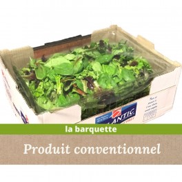 COLIS / 1Kg m&eacute;lange de jeunes pousses