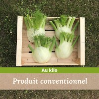 Fenouil Nantais - madisfrais