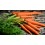  Carottes Nouvelles Lav&eacute;es / 2 kg