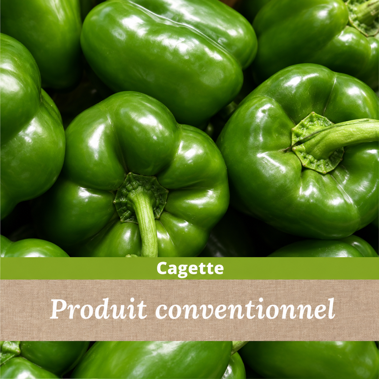 Cagette Poivron Vert