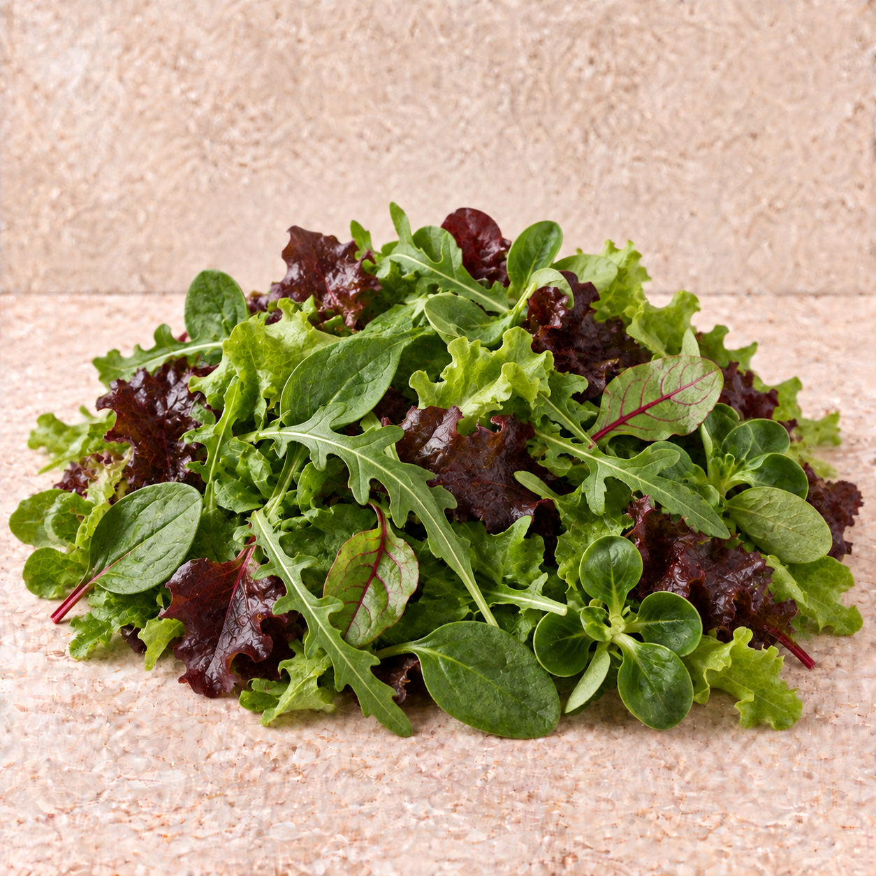 Mélange Jeune pousse barquette 150gr