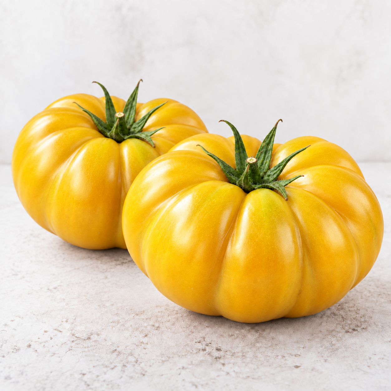 Tomate côtelée jaune